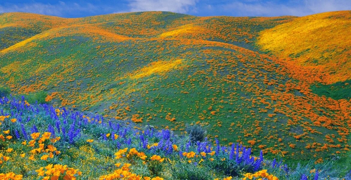 Kitulo Plateau National park