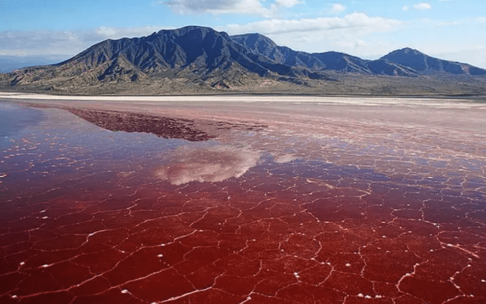 Lake Natron Tanzania