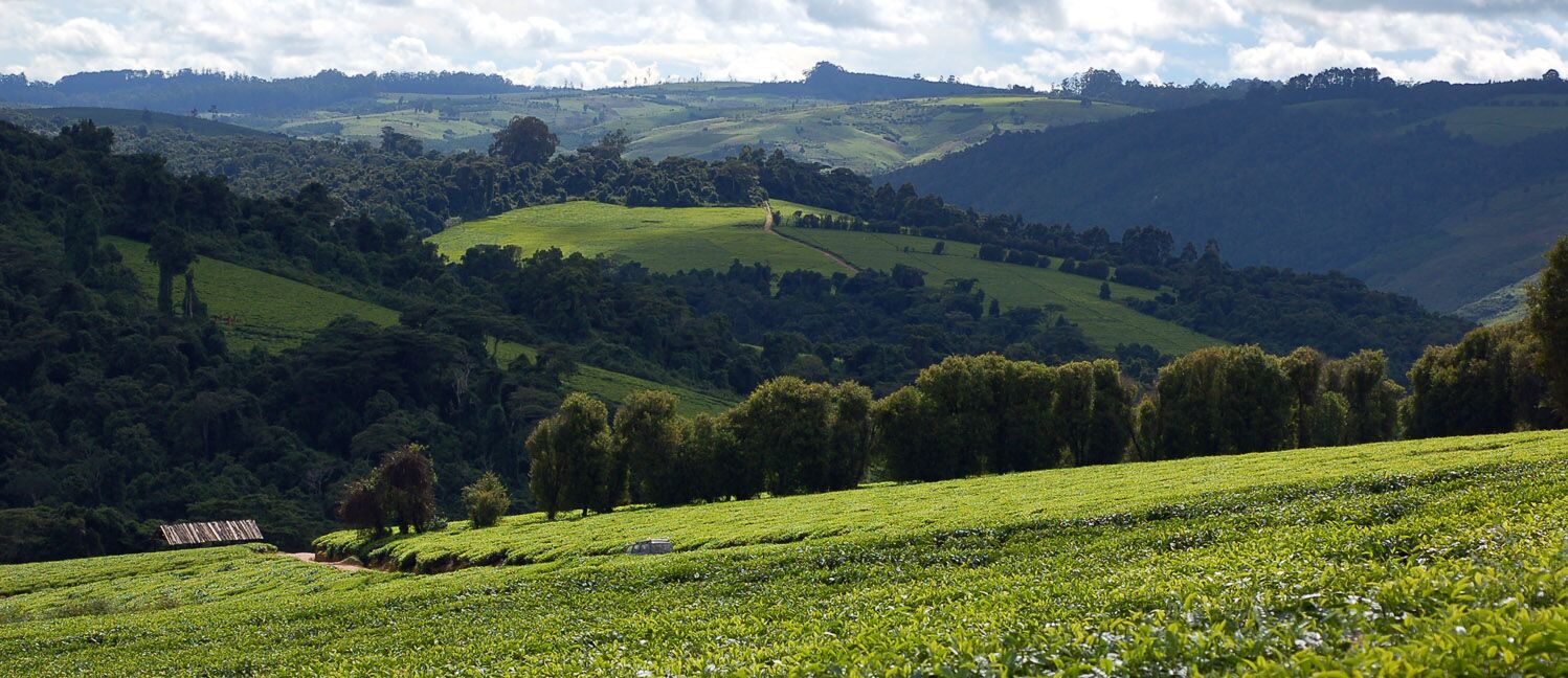 Mufindi highlands