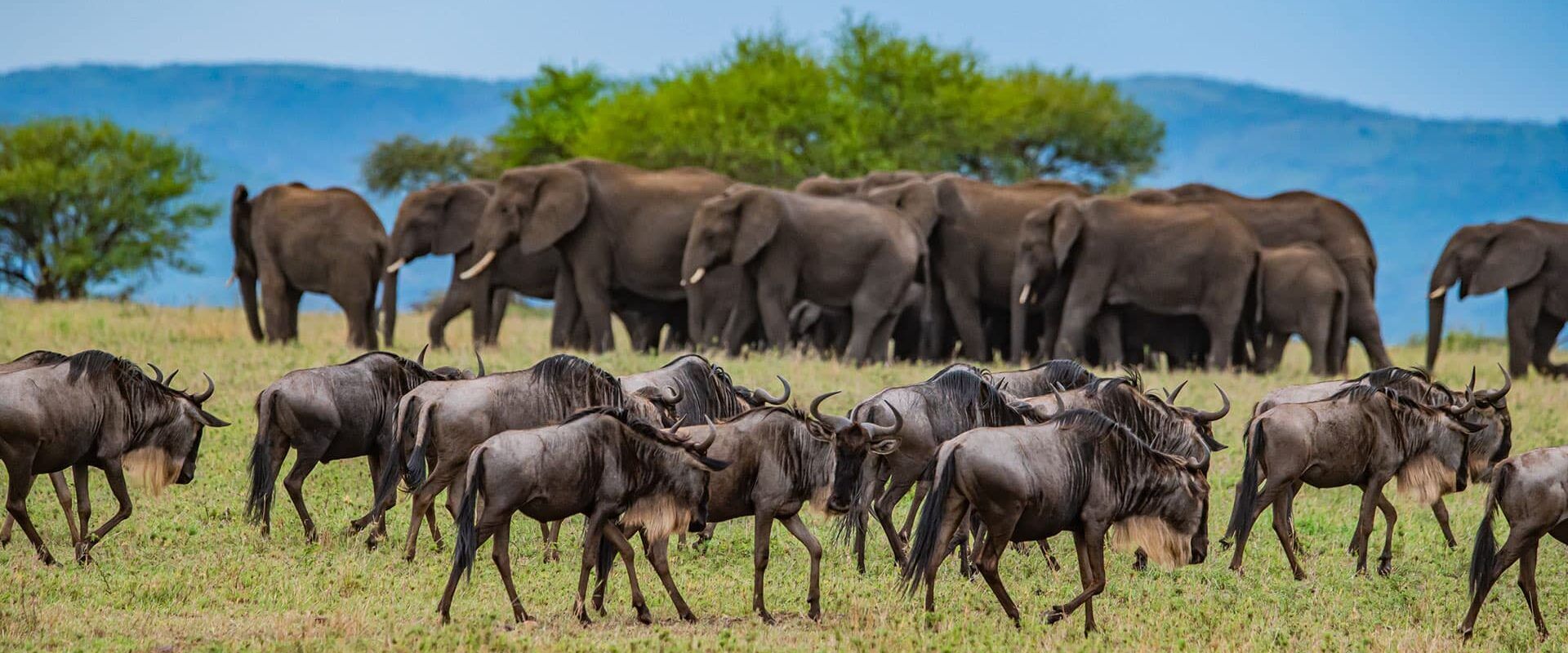 Ontdek Tanzania
