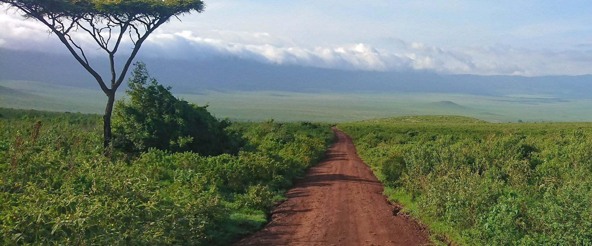 Nationale parken Tanzania
