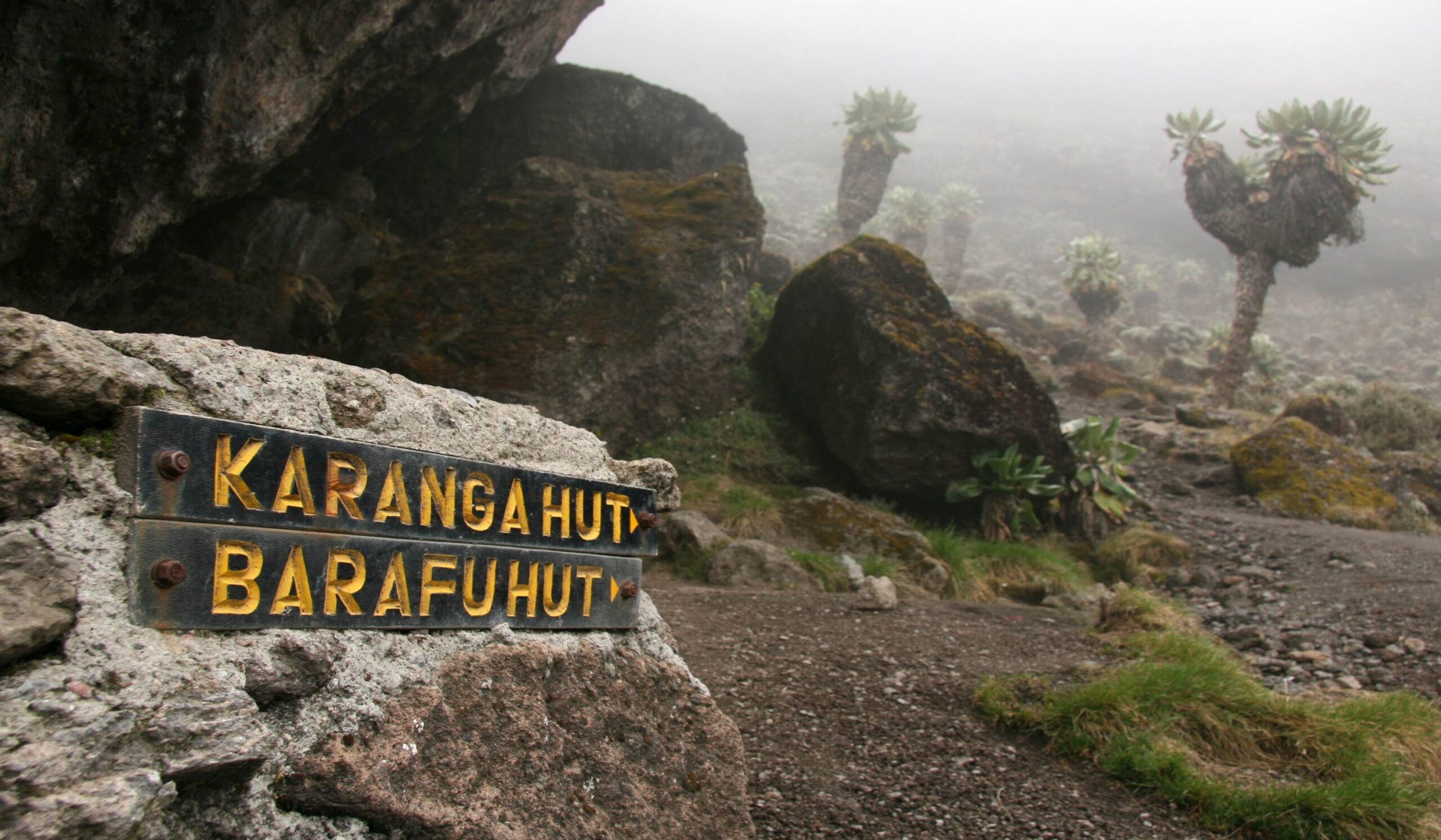 Beklimming Lemosho Route (4/7): Barranco Camp (3950 m) - Karanga Camp (4040 m)