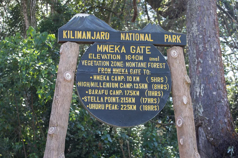 Beklimming Lemosho-Shira Route (6/6) | Millennium Camp (3820 m) - Mweka Gate (1640 m) - Hotel