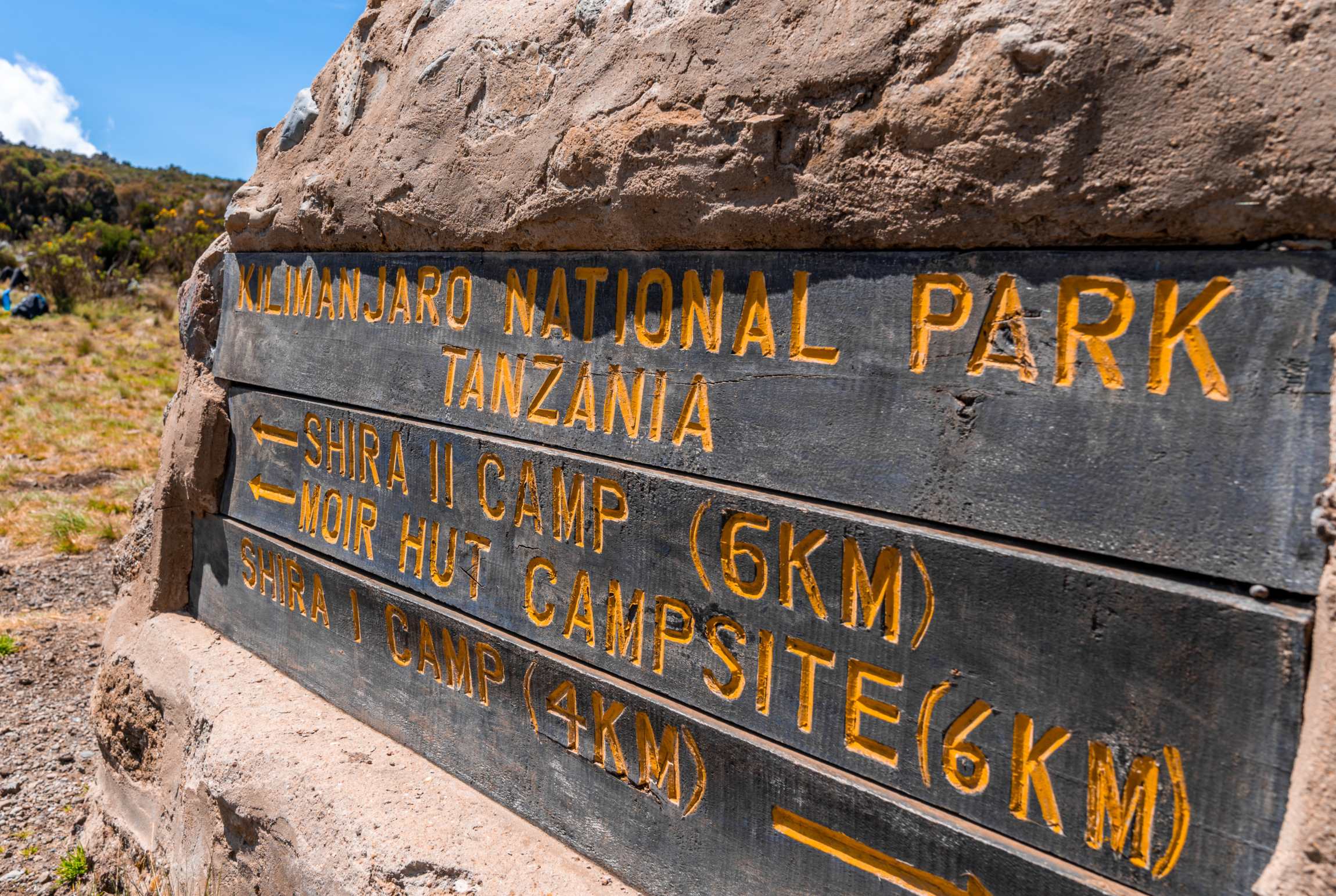Beklimming Lemosho Route (2/7) | Shira 1 (3510 m) - Shira 2 Camp (3890 m)