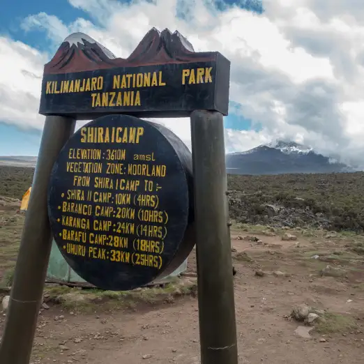 Beklimming Machame Route (2/6) | Machame Camp (2835 m) - Shira Camp (3839 m)