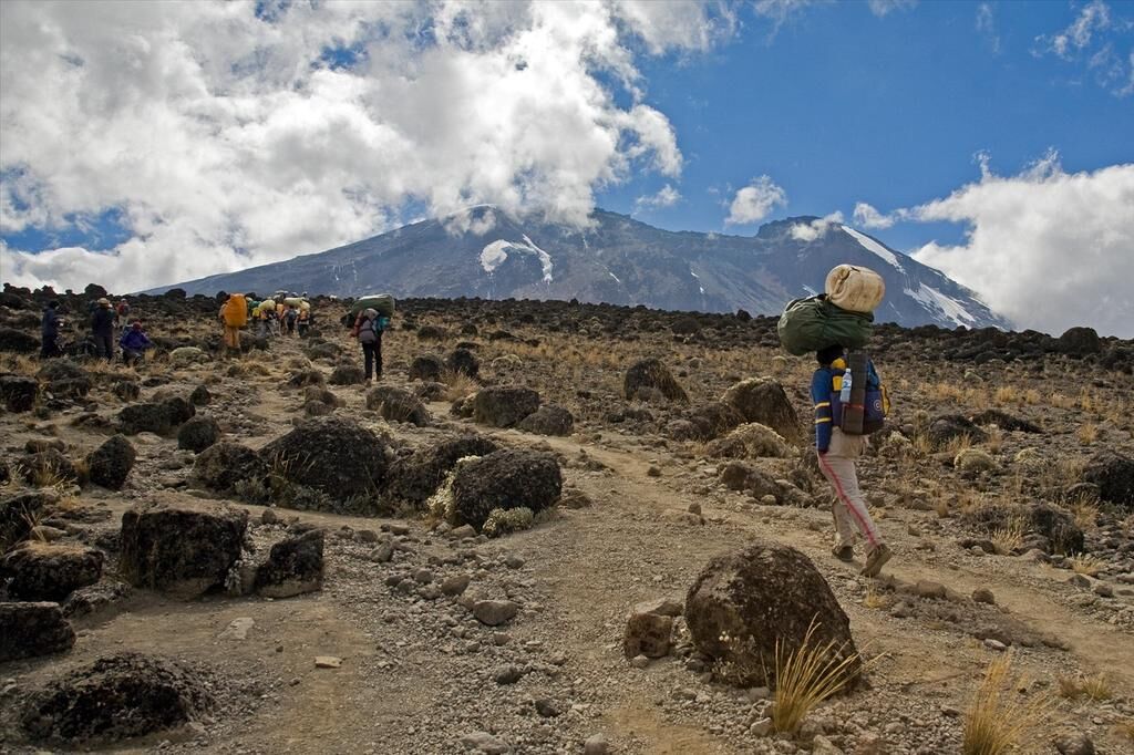 Beklimming Lemosho Route (1/7) | Drop off op hoogte (3500m) - Shira 1 (3510 m)