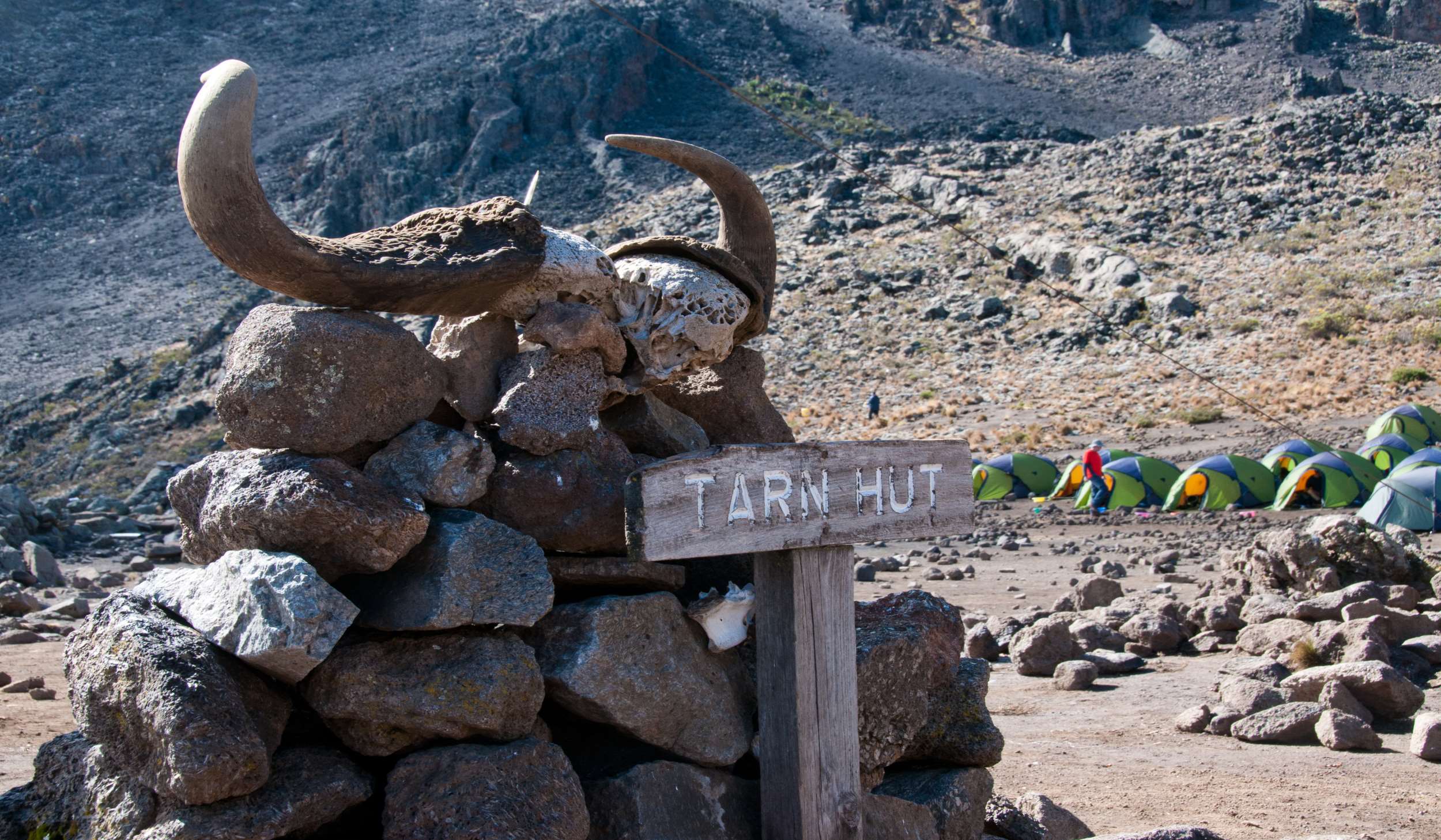 Beklimming Rongai Route (3/6) | Kikelewa Camp (3660 m) - Mawenzi Tarn (4305 m)