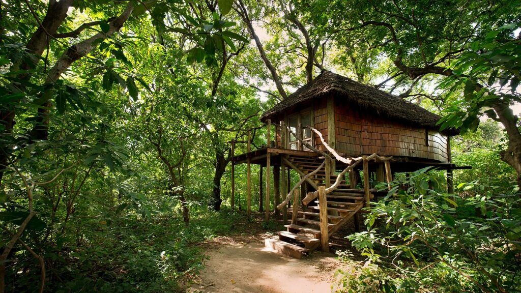 Boomhut Lake Manyara