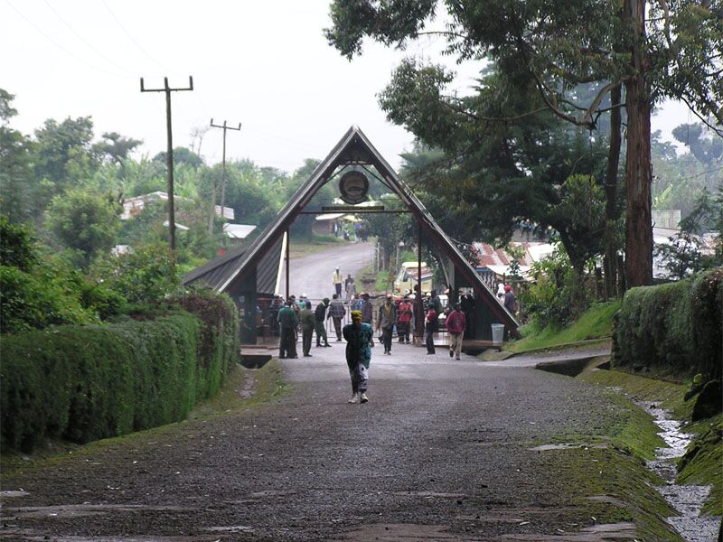 Beklimming Rongai Route (6/6) | Horombo Hut (3720 m) - Marangu Gate (1860 m) - Hotel