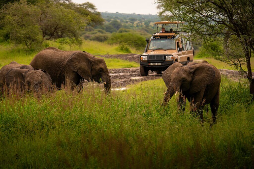 Wet season Tanzania
