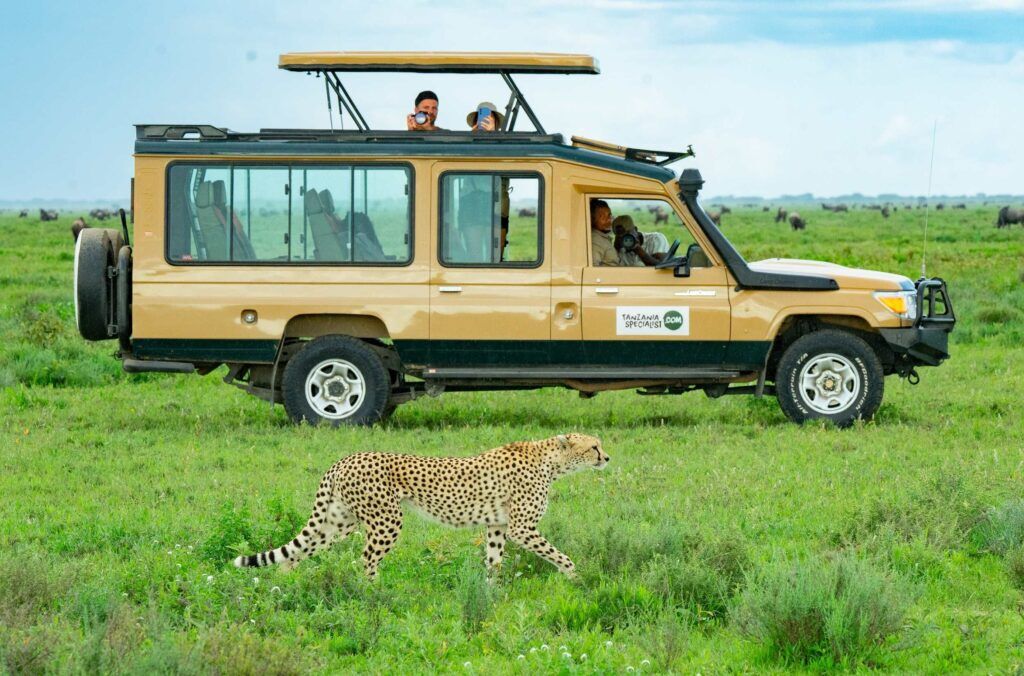 Safari-jeep-cheetah-private