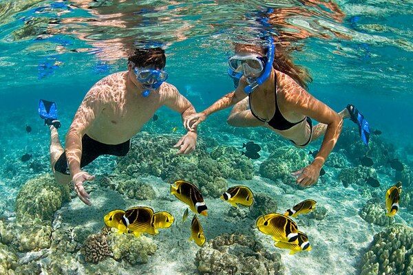 Snorkelen vlakbij Mnemba Island