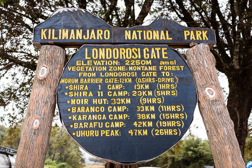 Beklimming Northern Circuit (1/8) | Lemosho Trailhead (2,000 m) - Big Tree Camp (2,780 m)