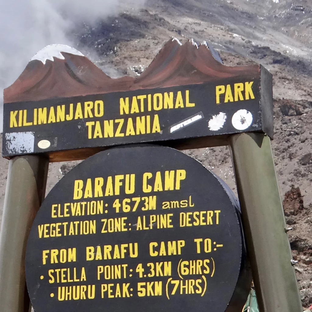 Beklimming Machame Route (5/7) | Karanga Camp (4040 m) - Barafu Camp (4645 m)