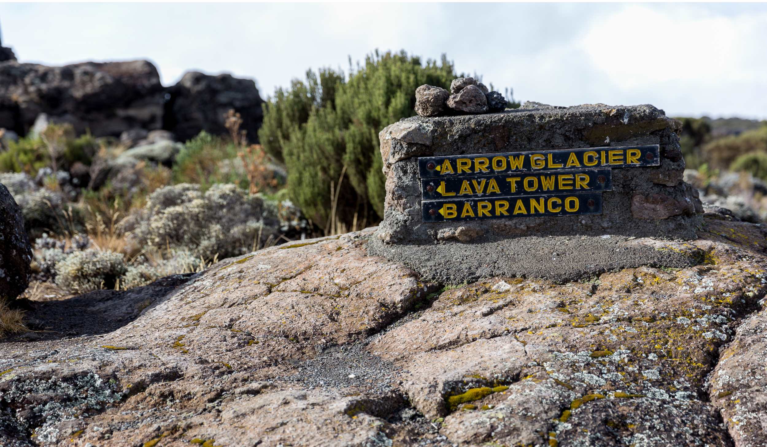 Beklimming Machame Route (3/7) | Shira Camp (3839 m) - Lava Tower (4630 m) - Barranco Camp (3950 m)