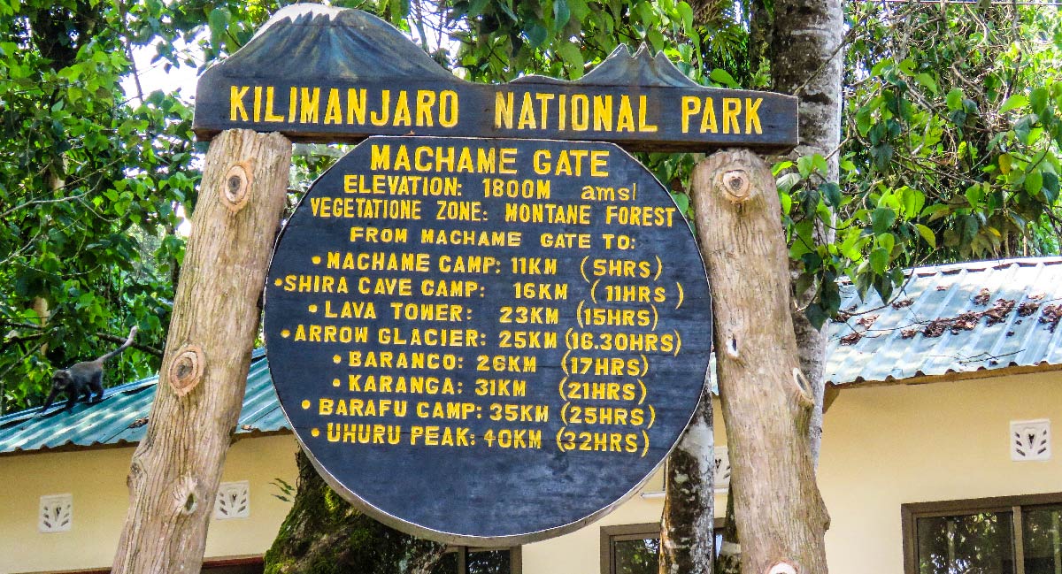 Beklimming Machame Route (1/6) | Machame Gate (1800 m) - Machame Camp (2835 m)