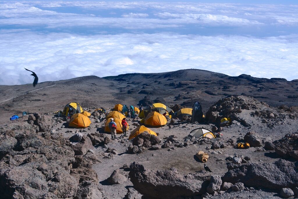 Beklimming Machame Route (4/6) | Barranco Camp (3950 m) - Barafu Camp (4645 m)