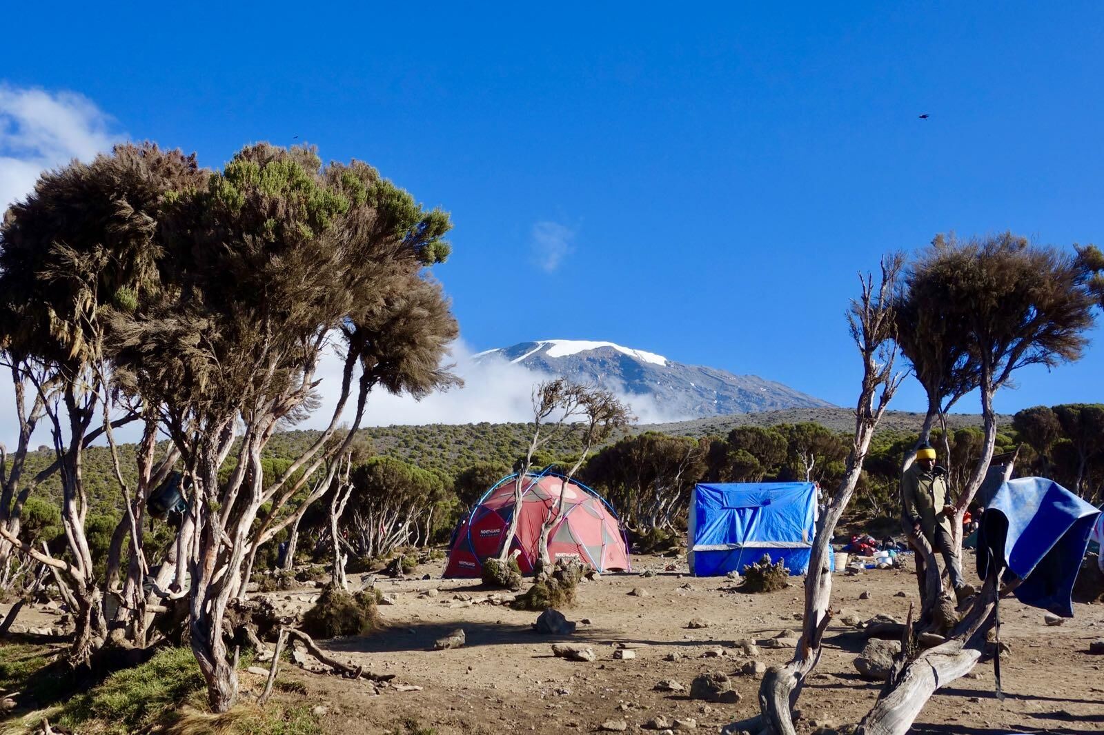 Beklimming Machame Route (5/6) | Barafu Camp (4645 m) - Uhuru Peak (5895 m) - Millennium Camp (3820 m).