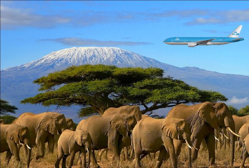Aankomst op Kilimanjaro International Airport voor je beklimming