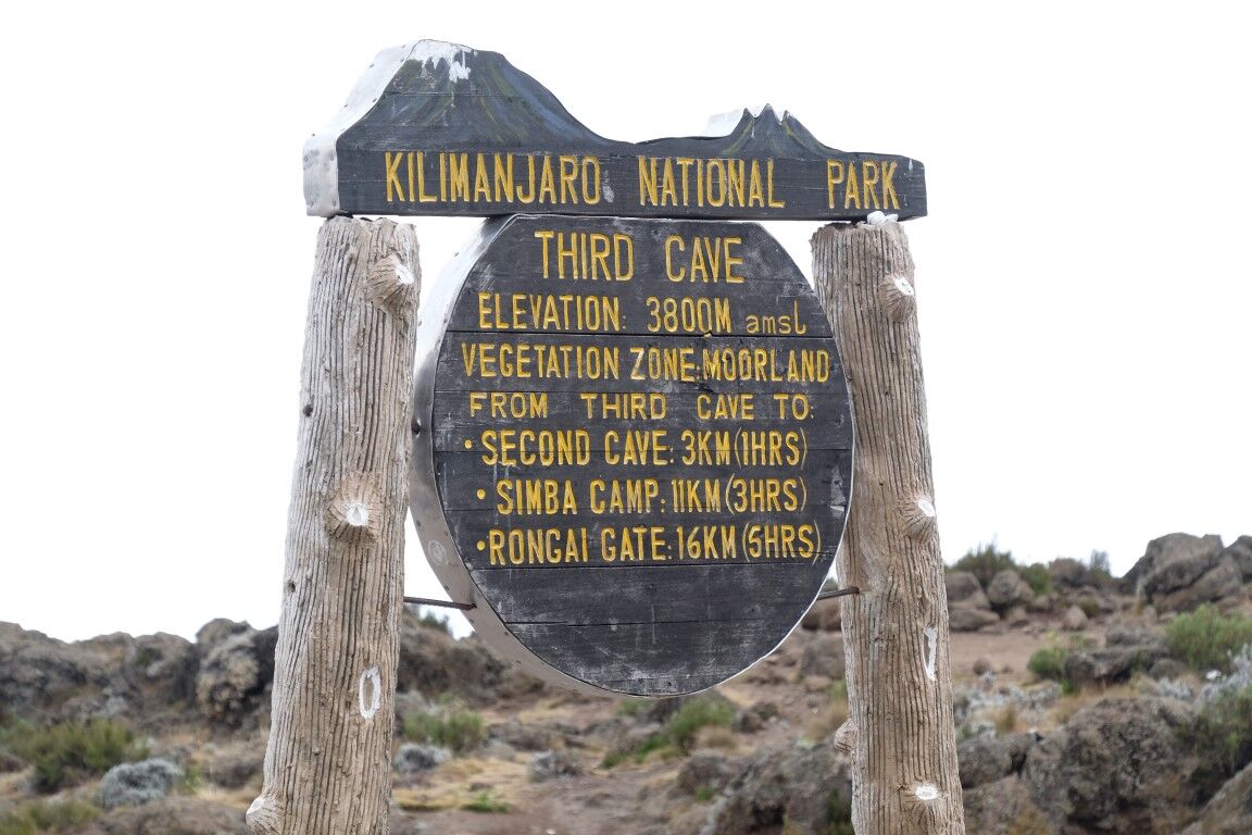 Beklimming Northern Circuit (5/8) | Buffalo Camp (3995 m) - Third Cave Camp (3930 m)