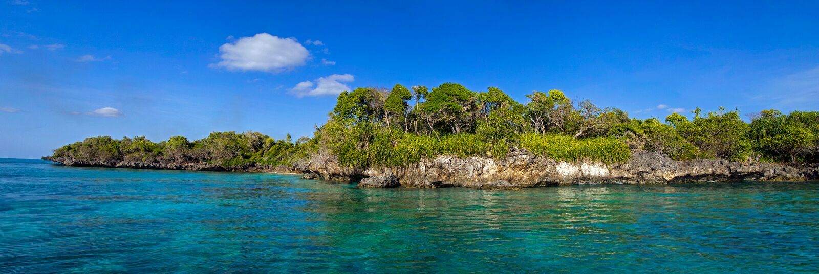 Mafia island kust met blauwe zee en groene natuur