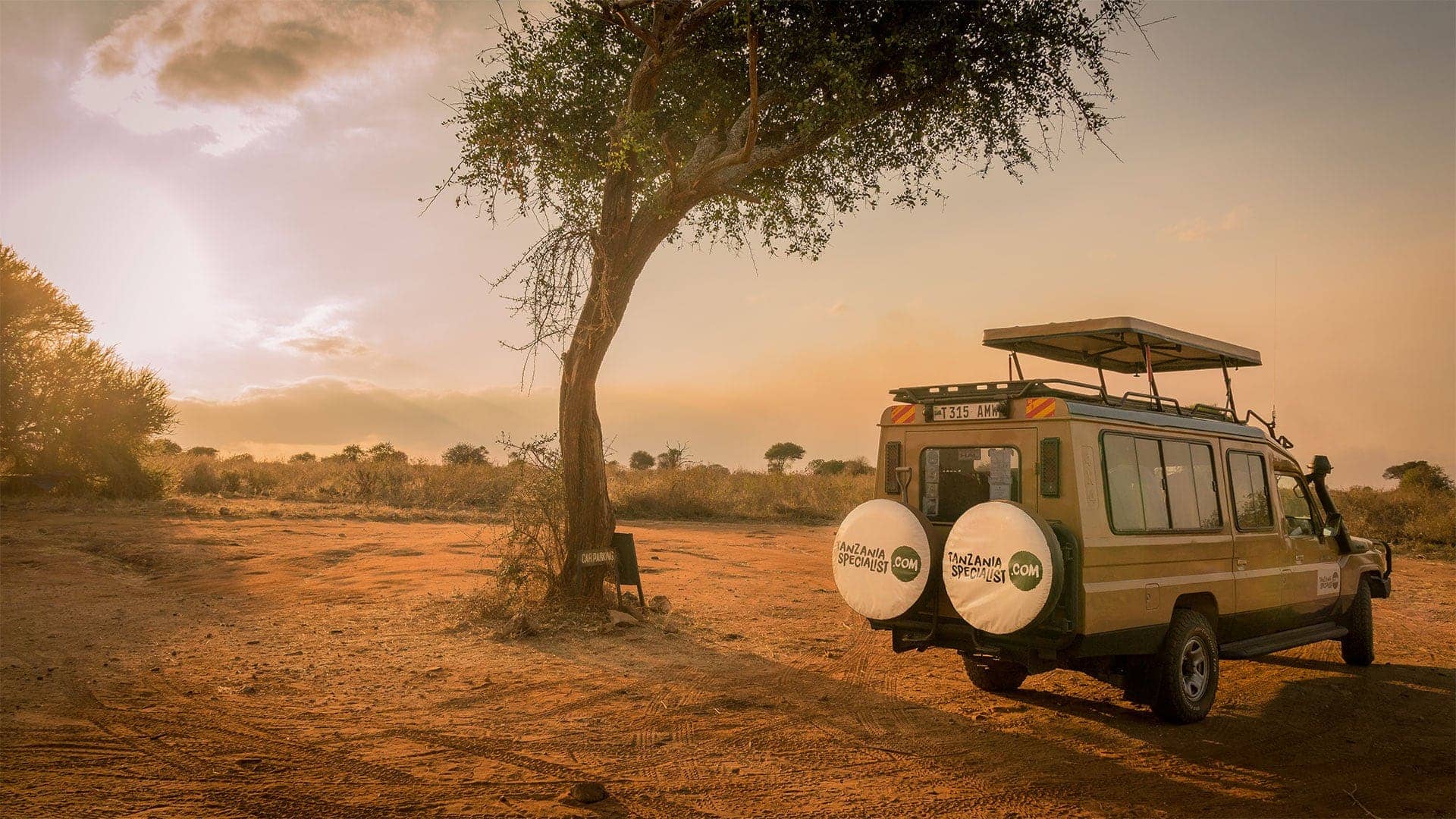 Vlucht naar Nyerere National Park voor een safari avontuur!