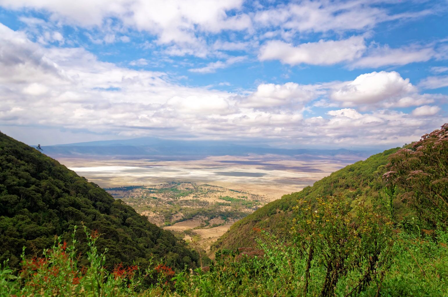 Ngorongoro Conservation Area (incl. Krater)