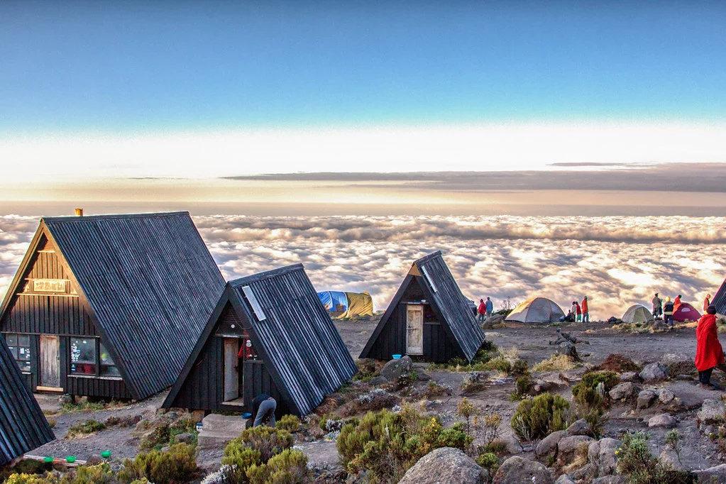 Beklimming Marangu Route (2/5) | Mandara Huts (2720 m) - Horombo Huts (3720 m)