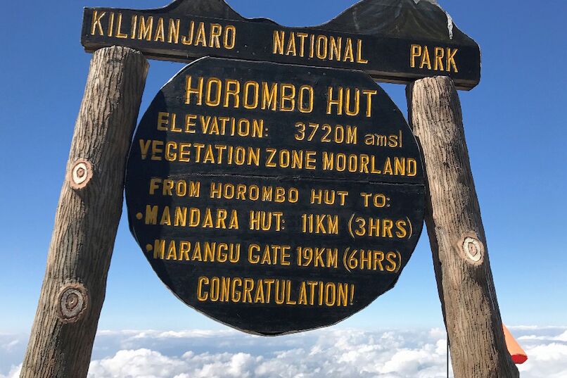 Beklimming Marangu Route (2/6) | Mandara Huts (2720 m) - Horombo Huts (3720 m)