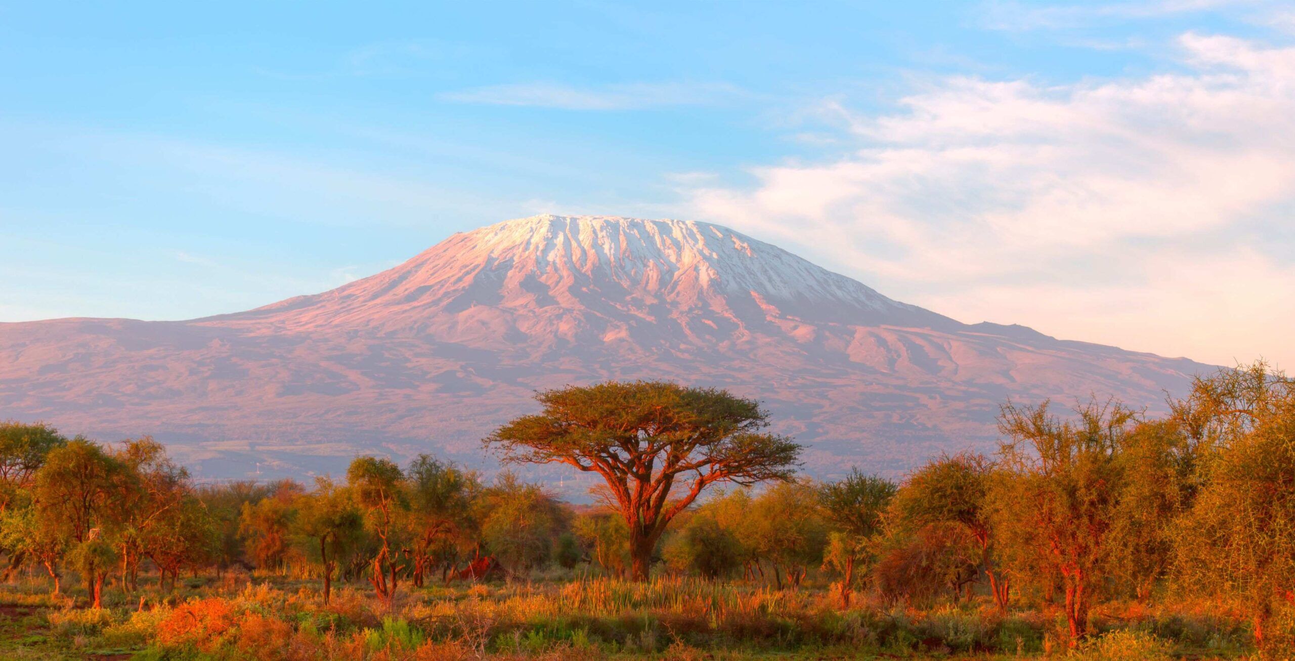 Beklimming Rongai Route (1/6) | Rongai Gate (1950 m) - First Cave Camp (2650 m)