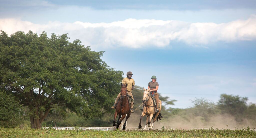 Paardrijden in Arusha