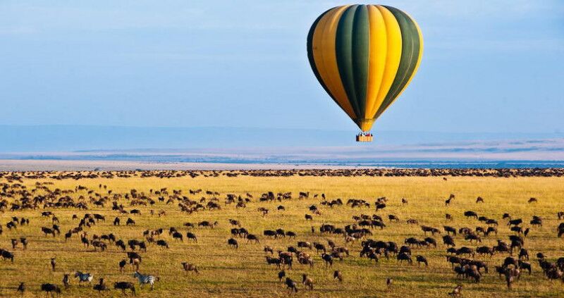 De grote trek Tanzania